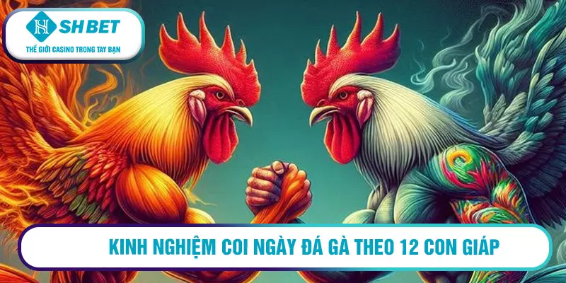 Kinh nghiệm coi ngày đá gà theo 12 con giáp