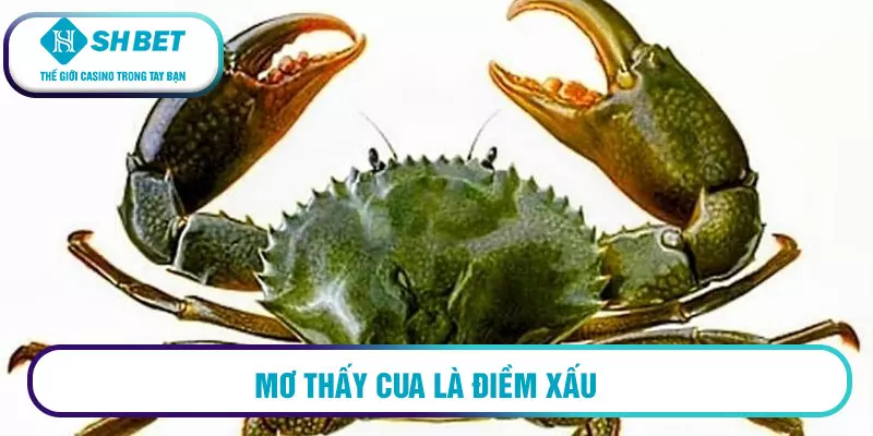 Mơ thấy đi mua cua là điềm gì?